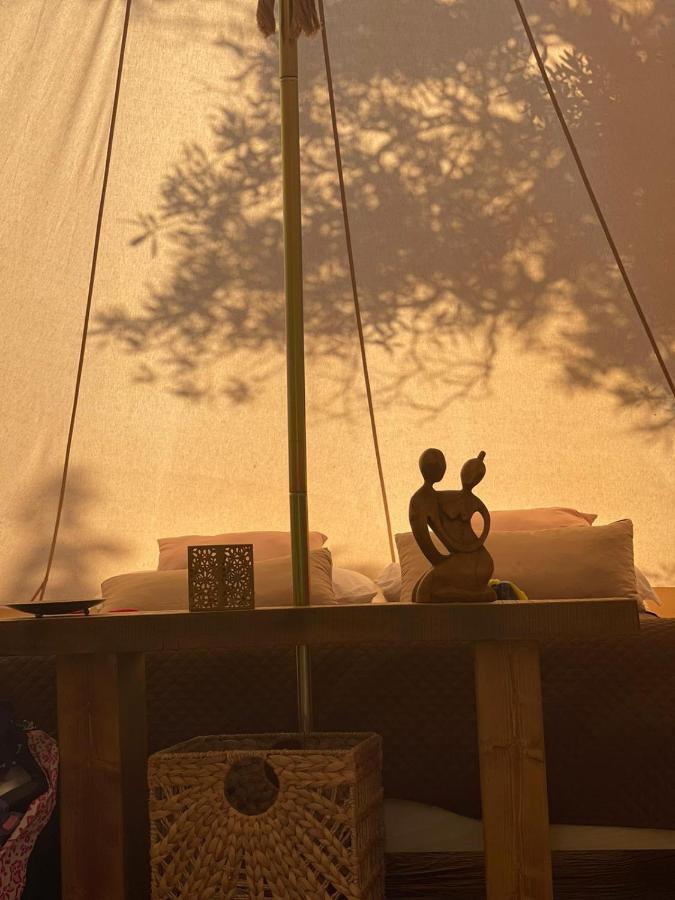 Golden Camp Hotell Falerna Rum bild